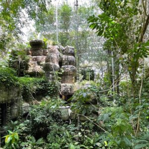 Rainforest in the middle of the desert? Biosphere 2 Review