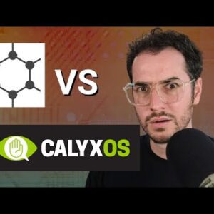 GrapheneOS vs CalyxOS - What do people think is better?