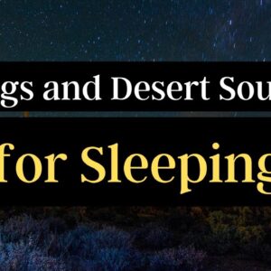 Night time Frogs and Wind Sleep Time Music recorded in Arizona