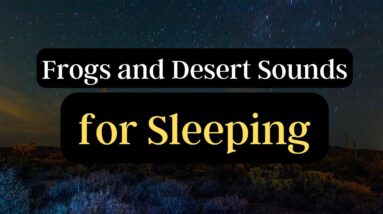 Night time Frogs and Wind Sleep Time Music recorded in Arizona